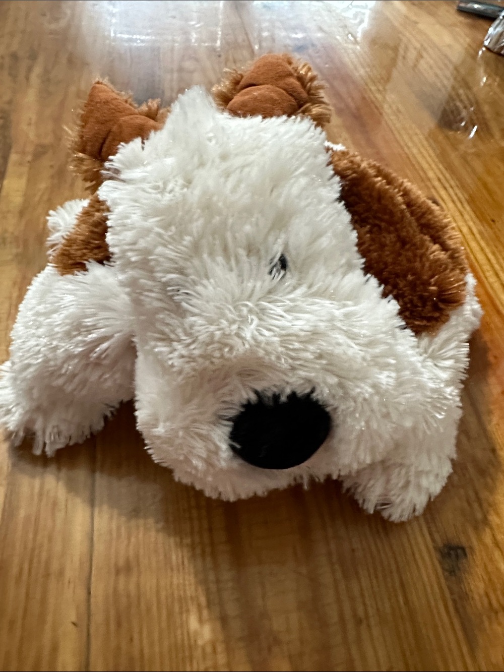 Jelly Cat Plush Cream and White Puppy Dog